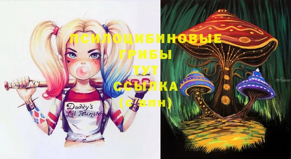 прущие крисы Балахна