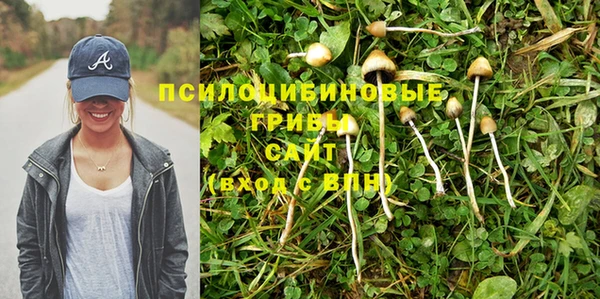 прущие крисы Балахна