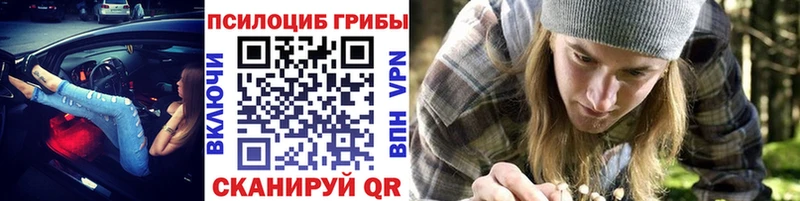 Галлюциногенные грибы мицелий  наркотики  Губкинский 