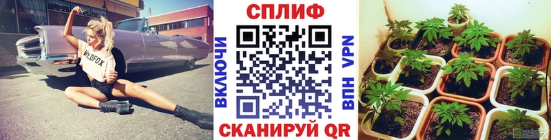 Бошки Шишки ГИДРОПОН  Губкинский 